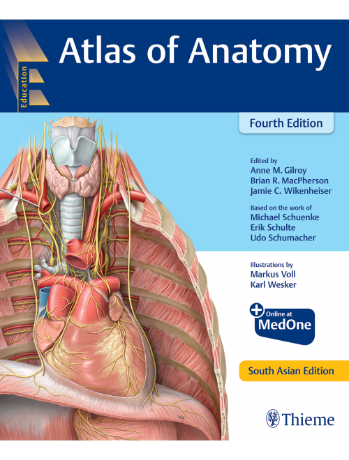 Anatomy Atlas of Anatomy